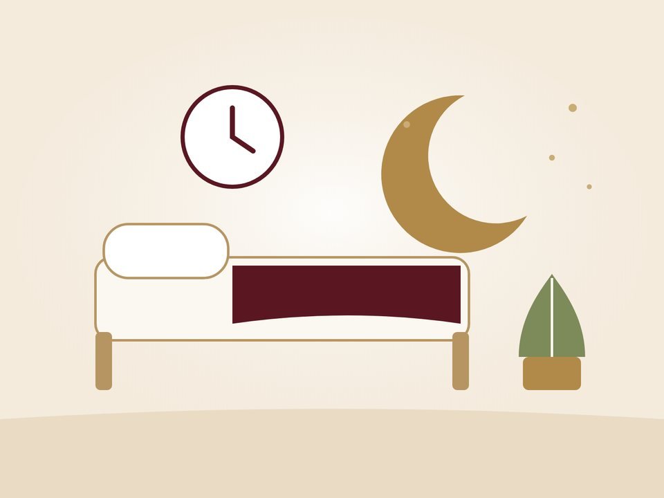 Illustration of lifestyle and sleep guidance: a bed, clock, moon and plant